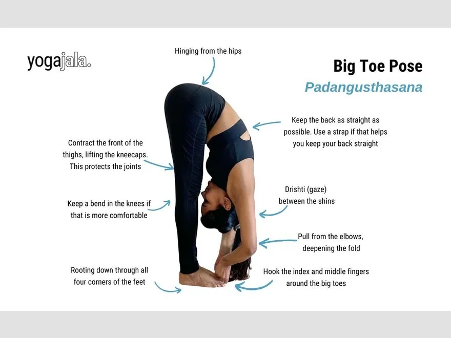 Big Toe Pose (Padangusthasana) — photograph