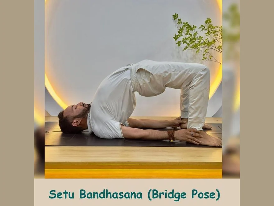 Bridge Pose (Setu Bandhasana) — photograph