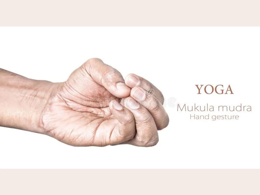 Bud Gesture (Mukula Mudra) — photograph