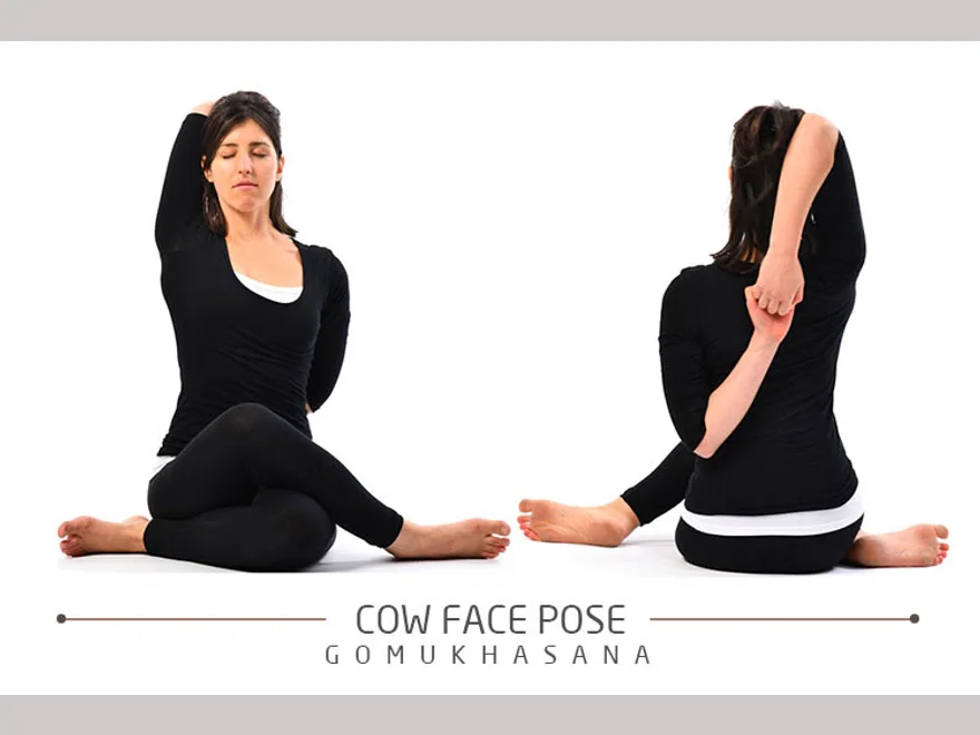 Cow Face Arms (Gomukhasana Arms) — photograph