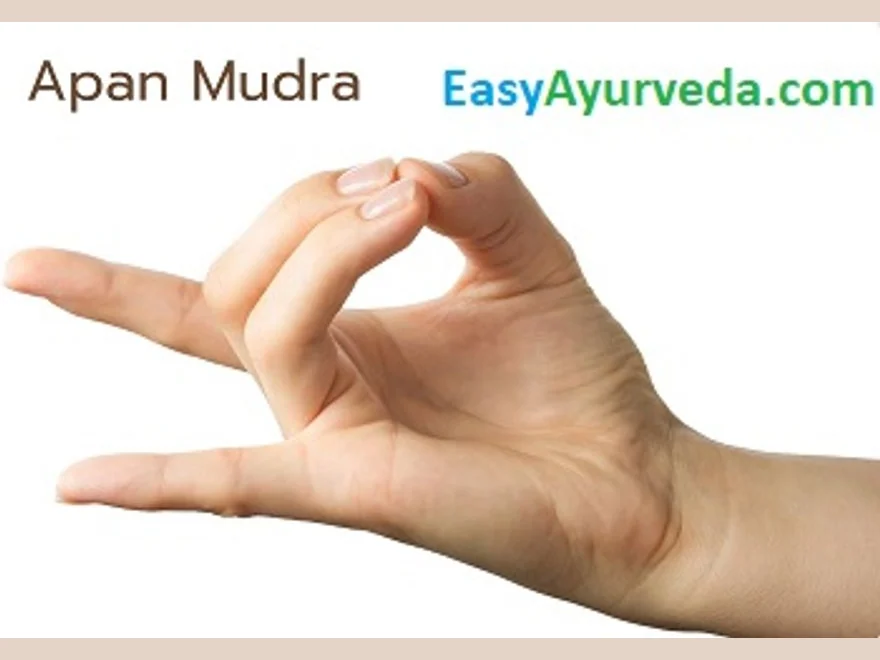 Downward Energy Gesture (Apana Mudra) — photograph