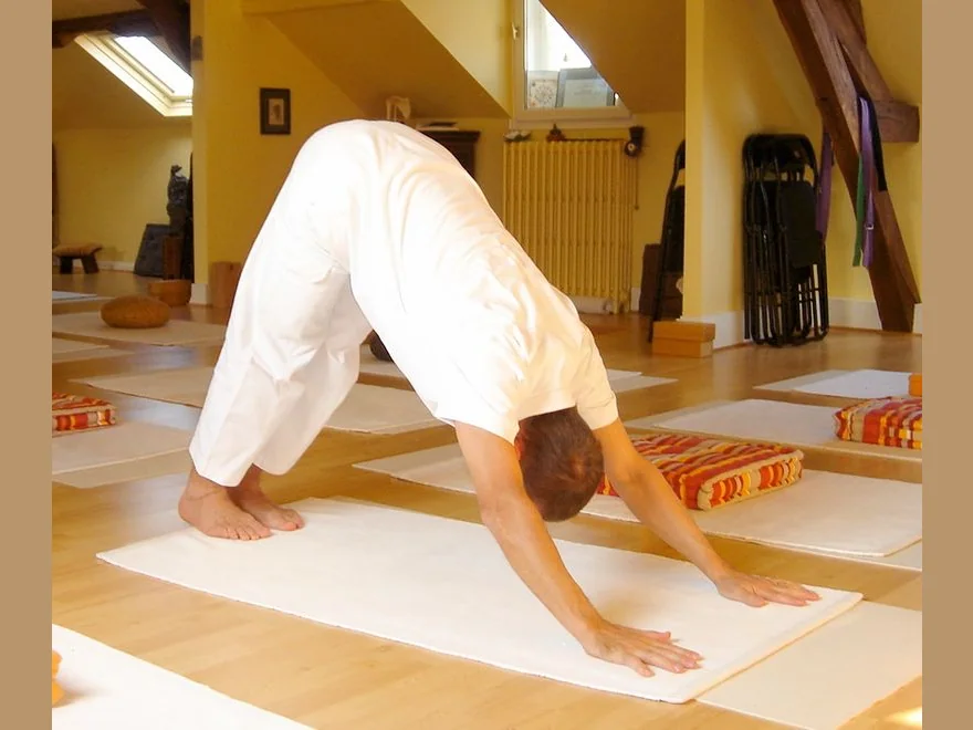 Downward-Facing Dog (Adho Mukha Svanasana) — photograph