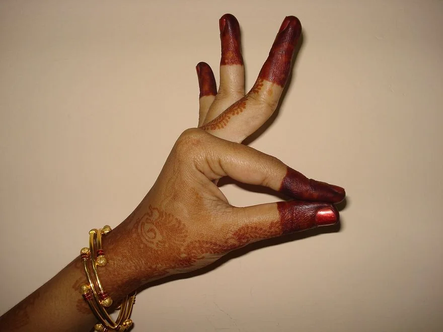 Hamsasya — photograph