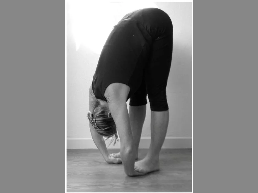 Hand-to-Foot Pose (Padahastasana) — photograph