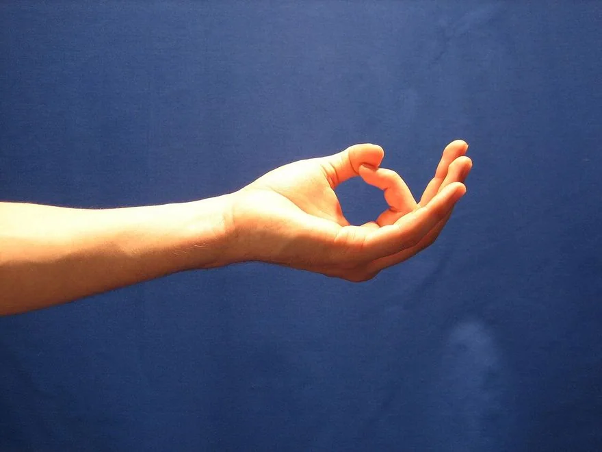Knowledge Variation (Jnana Mudra Variation) — photograph