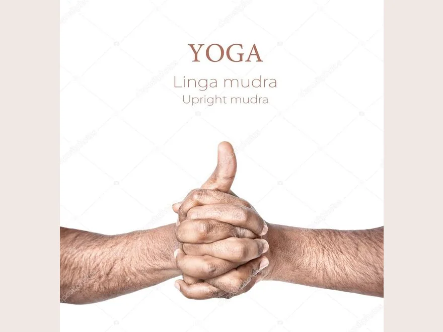 Linga Gesture (Linga Mudra) — photograph