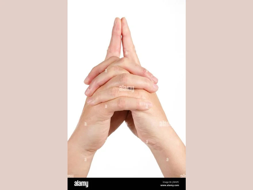 Lotus Gesture (Padma Mudra) — photograph