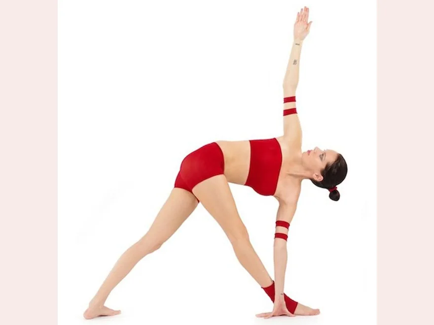 Revolved Triangle (Parivrtta Trikonasana) — photograph