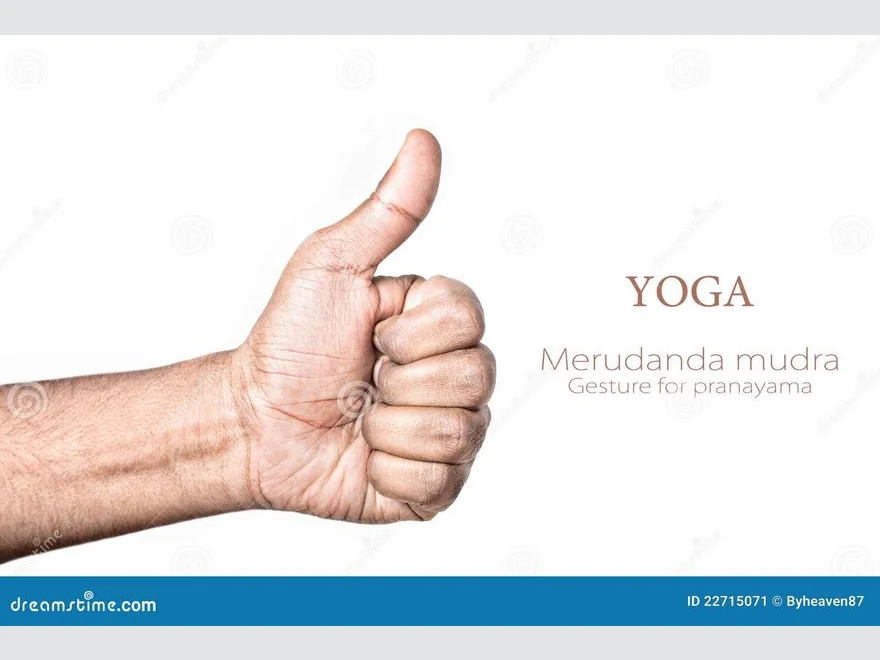 Spinal Column Gesture (Merudanda Mudra) — photograph