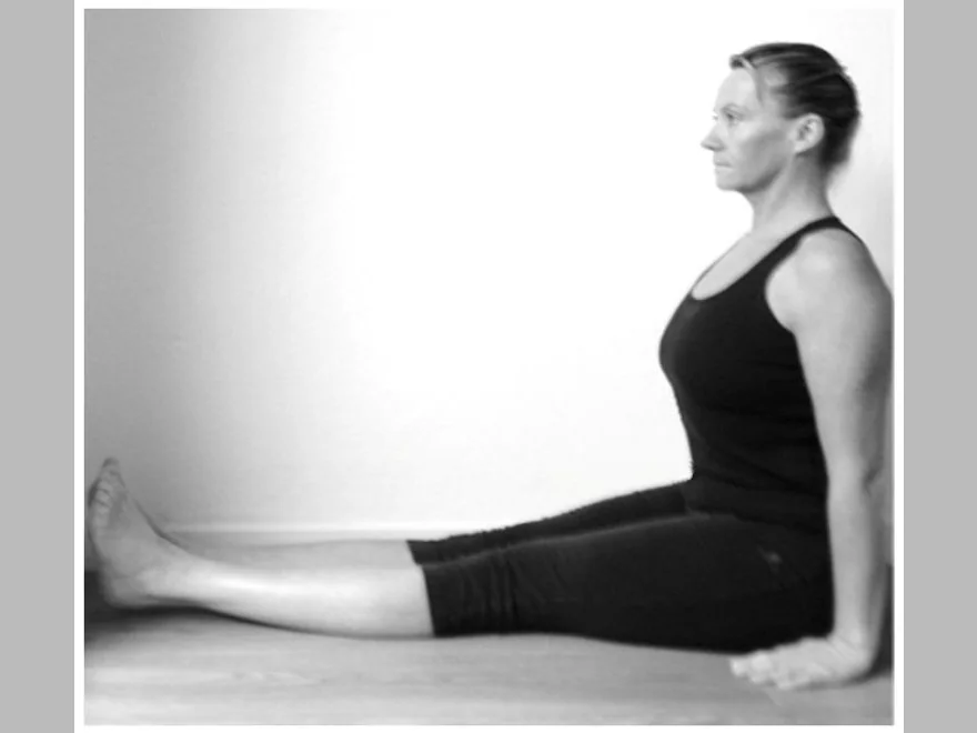 Staff Pose (Dandasana) — photograph