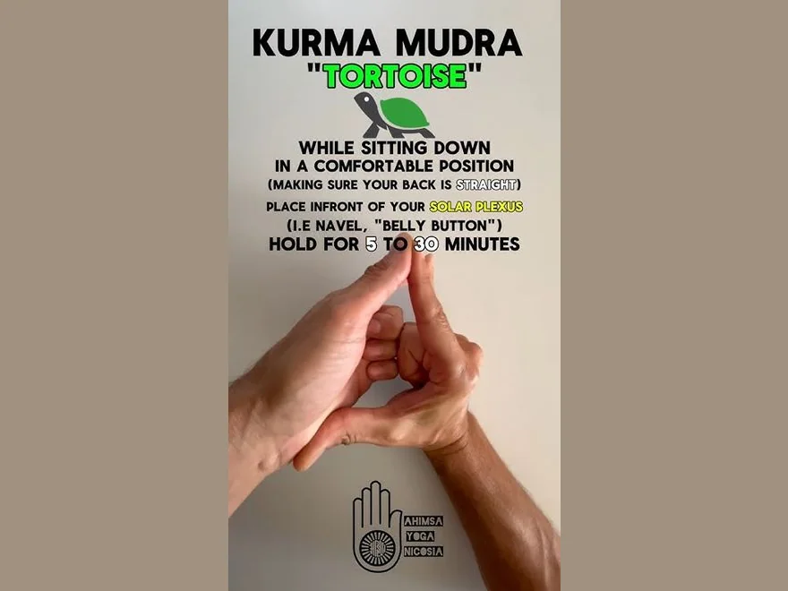 Tortoise Gesture (Kurma Mudra) — photograph
