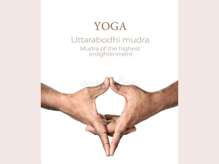Uttarabodhi (Uttarabodhi Mudra) — photograph